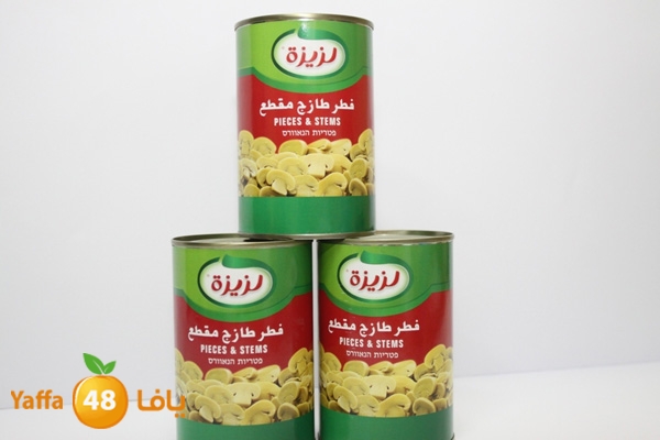 zhra2new612 (11).JPG